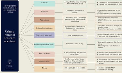 USING VARIED SENTENCE OPENINGS